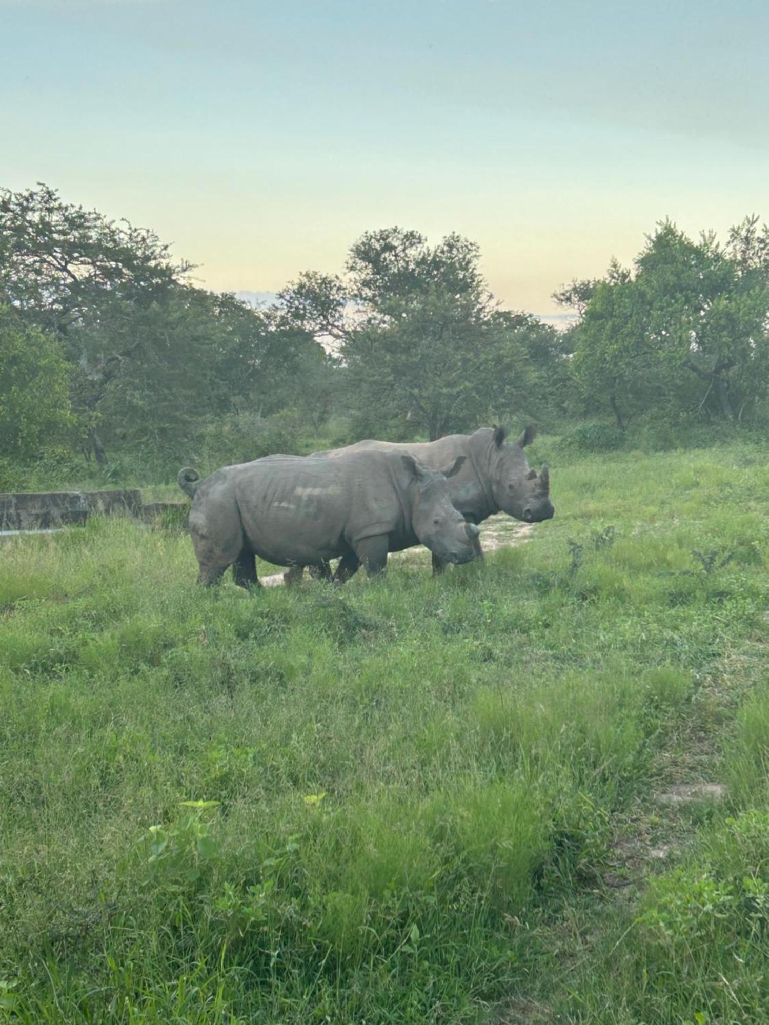 Am Lodge - Hoedspruit Ngoại thất bức ảnh