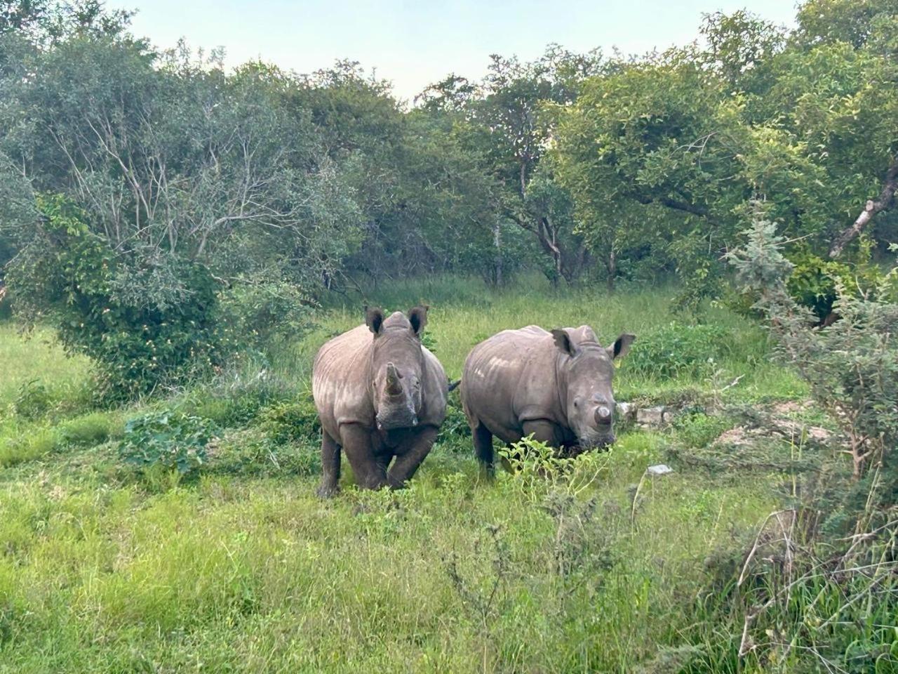 Am Lodge - Hoedspruit Ngoại thất bức ảnh