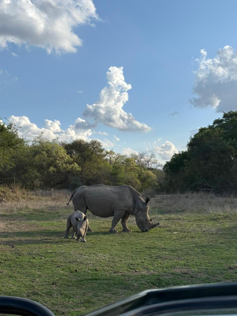 Am Lodge - Hoedspruit Ngoại thất bức ảnh